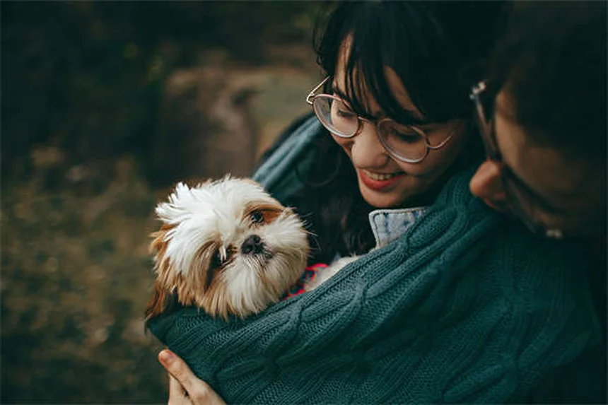 犬と一緒に寝ても大丈夫？専門家が教える安全な寝方
